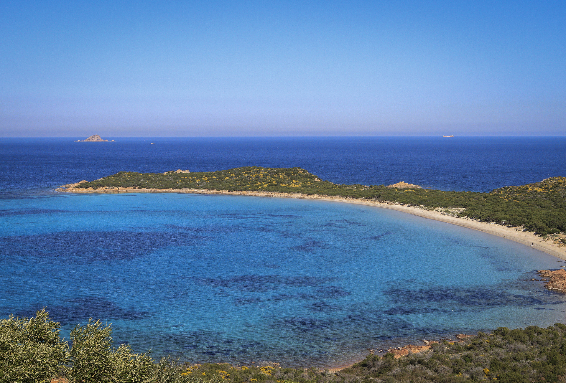 Capo Coda Cavallo