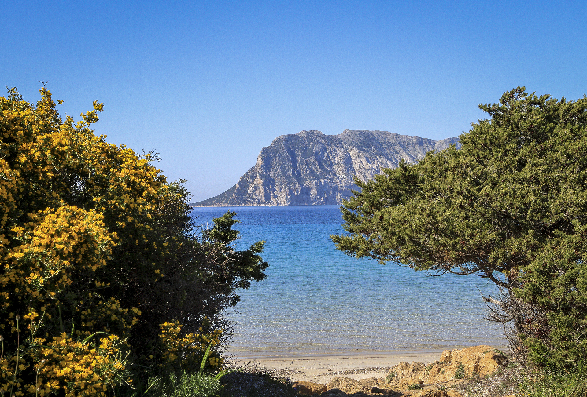 Capo Coda Cavallo