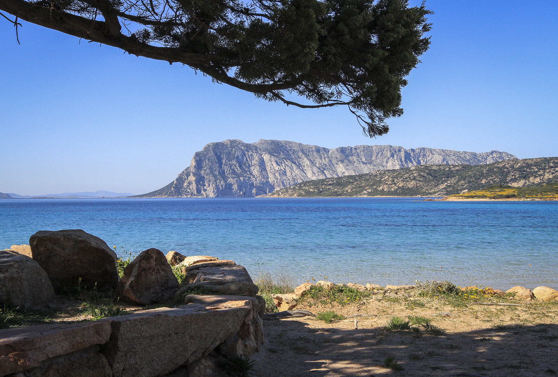 Capo Coda Cavallo