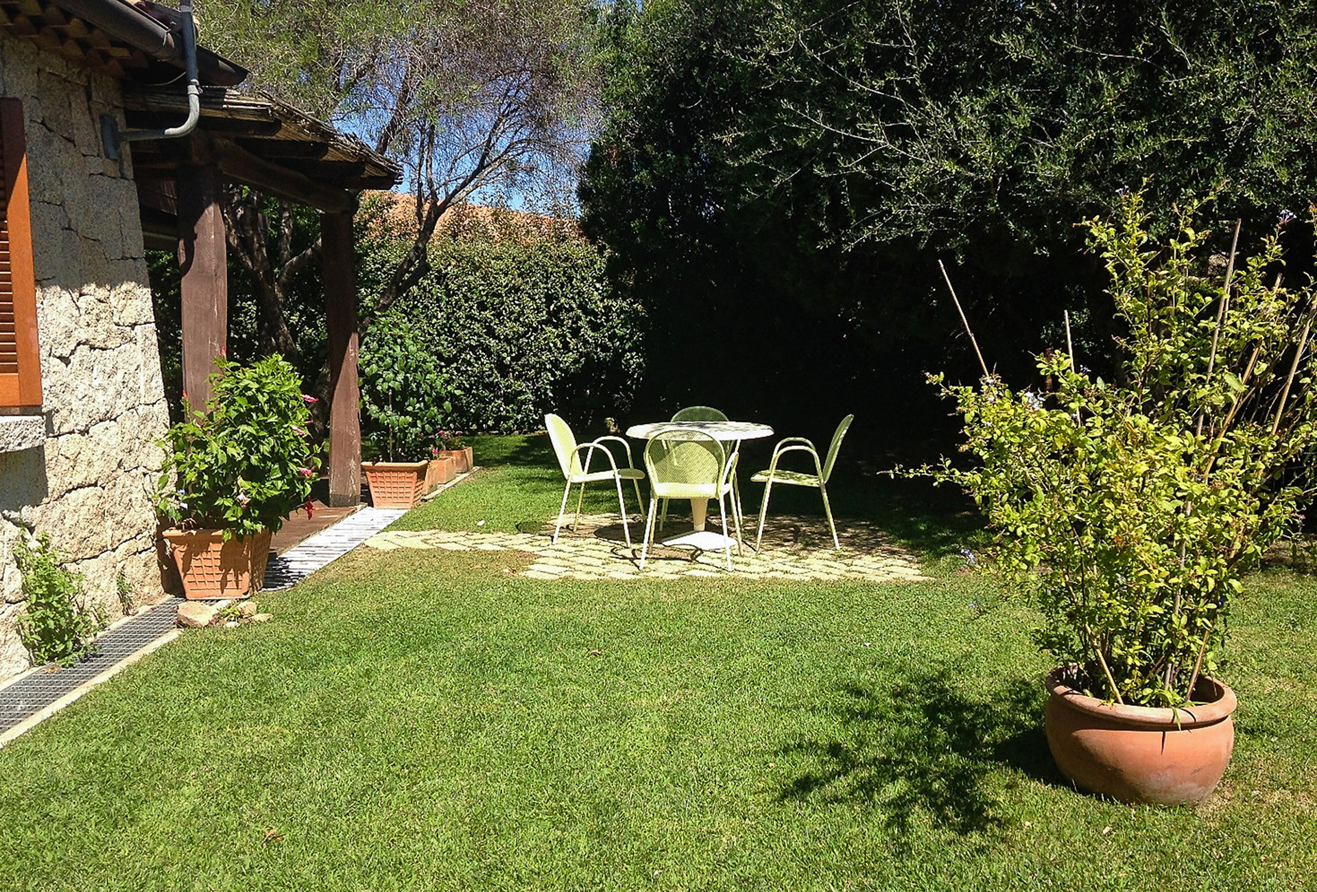 Back Garden